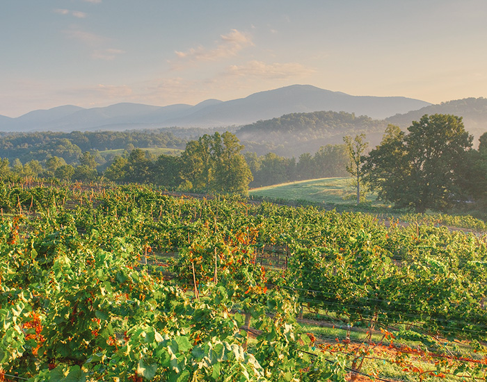 winery tours helen ga