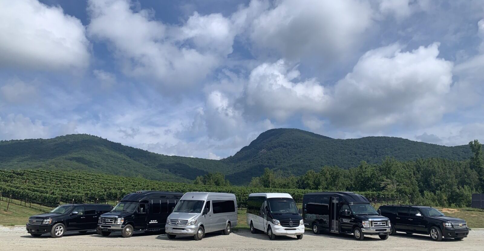 VIP fleet at Yonah Mountain Vineyard